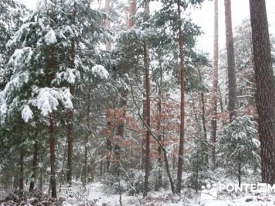 Ruta arroyo de la Chorranca; que sitios visitar en madrid;sierra de madrid tiempo 